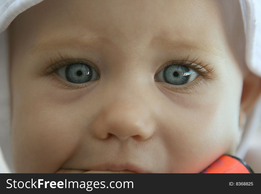 Baby blue eyes close up. Baby blue eyes close up