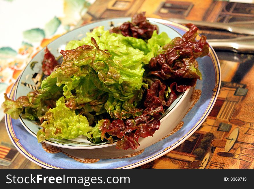 Fresh Organic Salad
