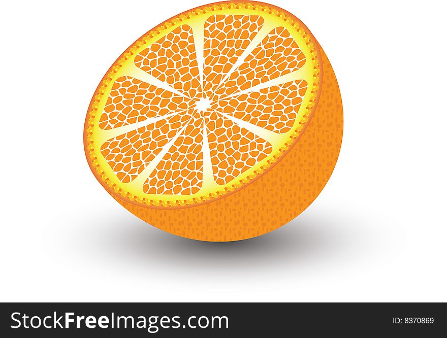 Vector Illustration -juicy Orange