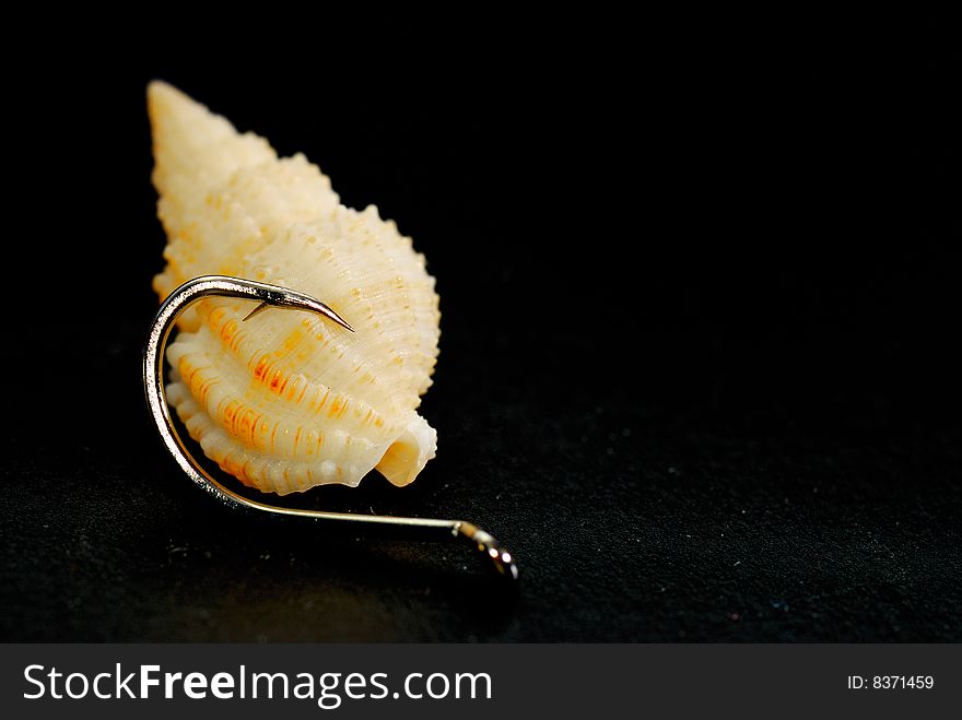 Clam Seashell with a fishing hook. Clam Seashell with a fishing hook