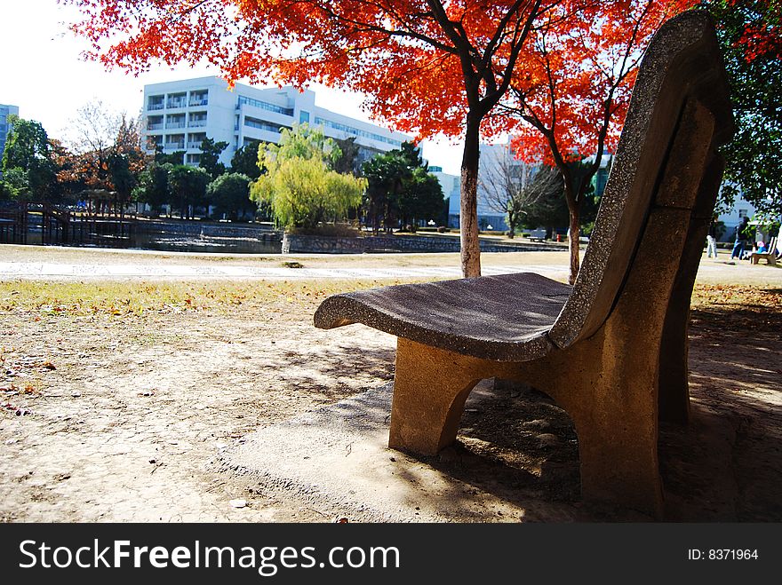 The stone chair is very quite in the red maple trees. The stone chair is very quite in the red maple trees