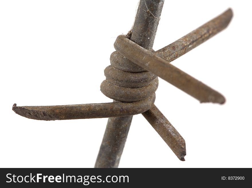 Barbed wire macro isolated on white