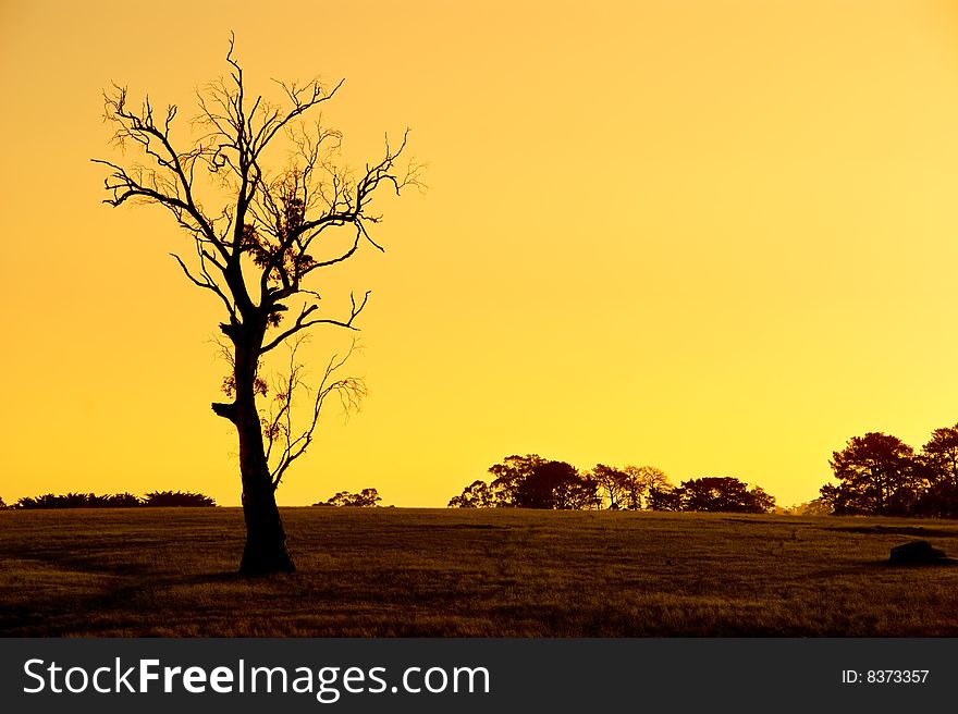 Sunset in Kersbrook, South Australia. Sunset in Kersbrook, South Australia