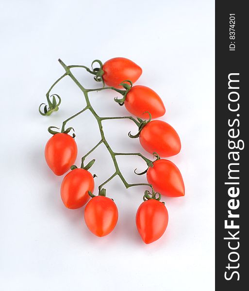 Red cherry tomatoes on the vine. Red cherry tomatoes on the vine