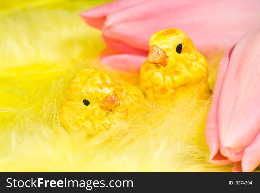 Close up on easter chickens and pink tulips on yellow feathers. Close up on easter chickens and pink tulips on yellow feathers
