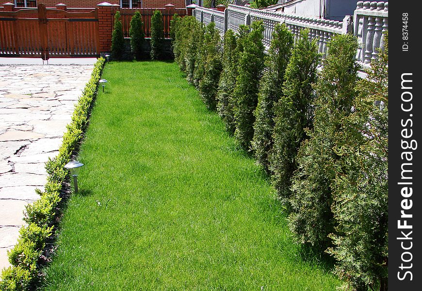 Garden stone path with grass growing up between the stones