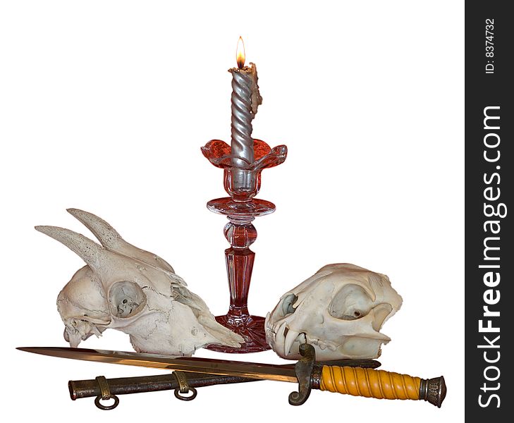 Two skulls of animals and dagger at the burned candle. Two skulls of animals and dagger at the burned candle.