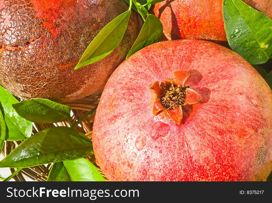 Group ripe big pomegranates with leaves. Group ripe big pomegranates with leaves