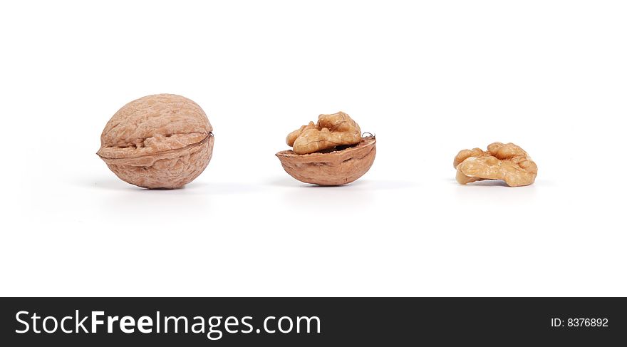 Evolution of nut on a table little littlest