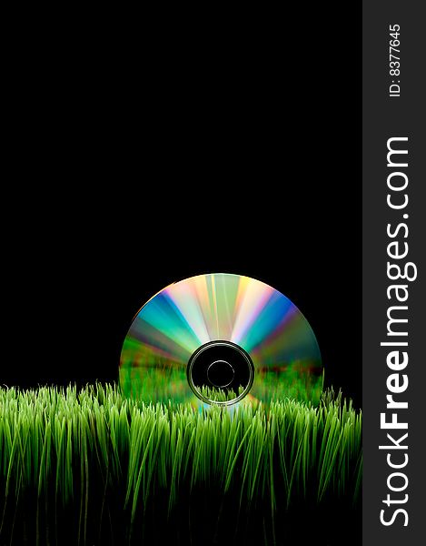 Compact Disk On Grass