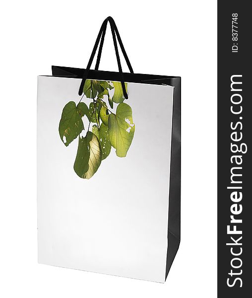 Isolated paper bag on the white background