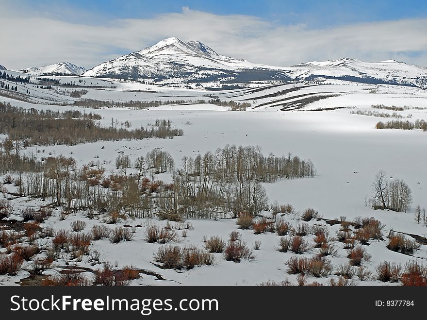 The upper Walker River along US 395 in the eastern Sierra Nevada.  Yosemite National Park begins in the high country on the horizon. The upper Walker River along US 395 in the eastern Sierra Nevada.  Yosemite National Park begins in the high country on the horizon.