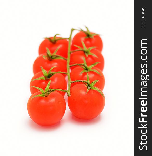 Eight cherry tomatoes on branch