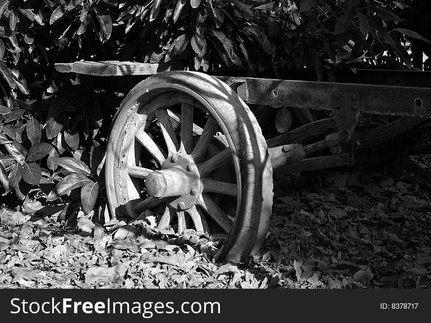 Old wheel on an anicent trailor. Old wheel on an anicent trailor