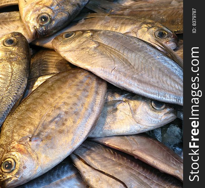 Fish at a market stall