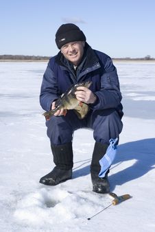 Big Perch Stock Image Big Perch Stock Image