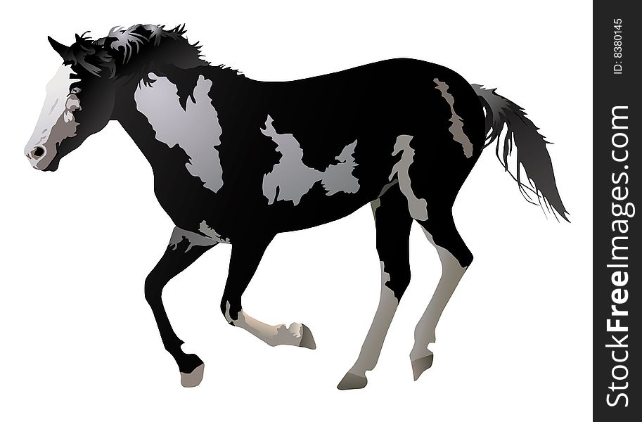 Illustration of horse galloping on white background. Illustration of horse galloping on white background