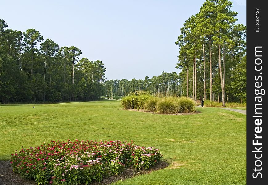 A beautiful view of the first hole on this Myrtle Beach golf course. A beautiful view of the first hole on this Myrtle Beach golf course.