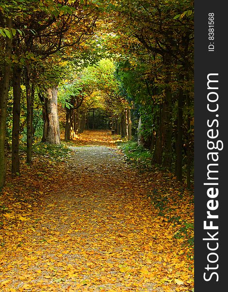 Beautiful autumn park in Buchlovice