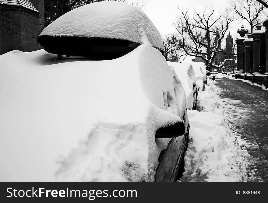 Cars are snowed in while parked on the street. Snowstorm hits NYC.