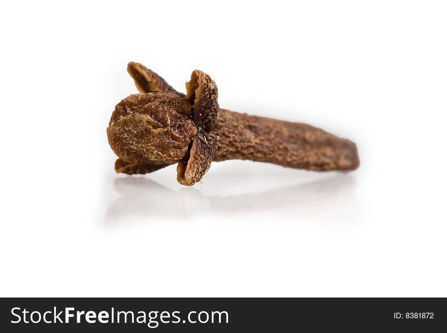 Clove isolated on white background