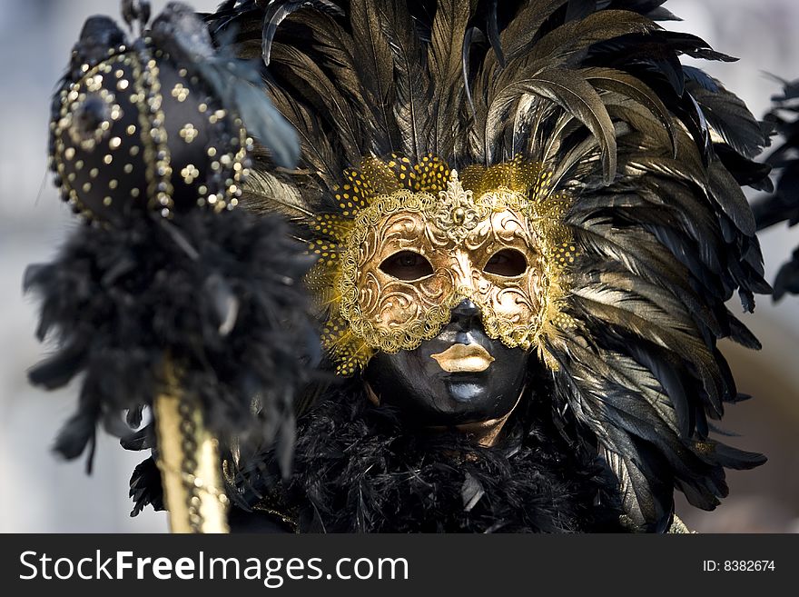 Professional mask I've seen during the carnival held in Venice in Italy, February 2009. Professional mask I've seen during the carnival held in Venice in Italy, February 2009.