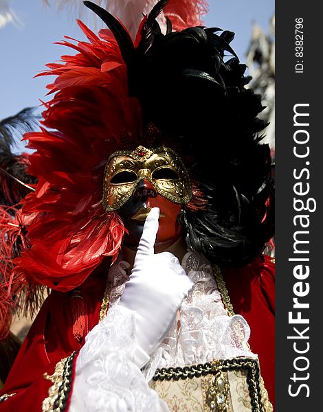 Professional mask I've seen during the carnival held in Venice in Italy, February 2009. Professional mask I've seen during the carnival held in Venice in Italy, February 2009.