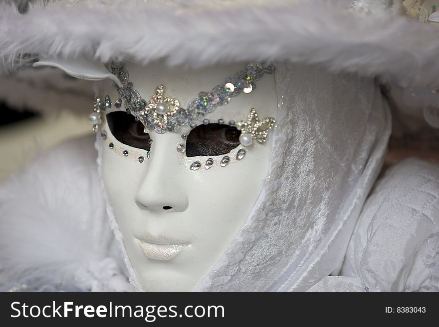 Professional mask I've seen during the carnival held in Venice in Italy, February 2009. Professional mask I've seen during the carnival held in Venice in Italy, February 2009.