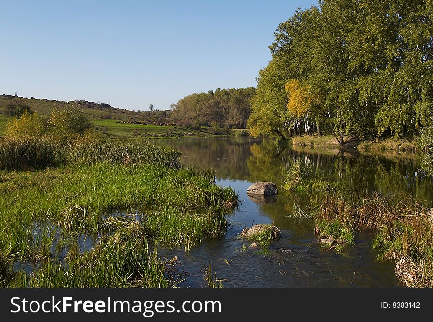 The river and summer meadow. The river and summer meadow