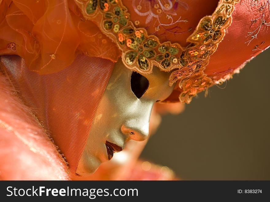 Professional mask I've seen during the carnival held in Venice in Italy, February 2009. Professional mask I've seen during the carnival held in Venice in Italy, February 2009.