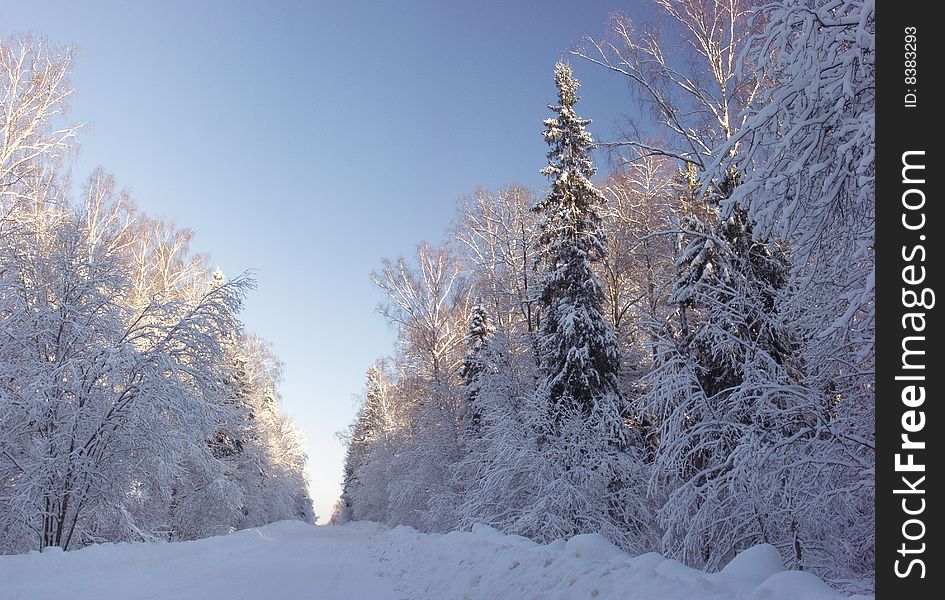 beautiful winter snow-covered forest roads. beautiful winter snow-covered forest roads