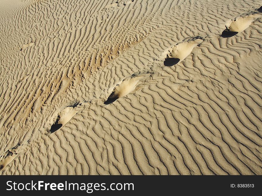 Human track on the sand. Human track on the sand