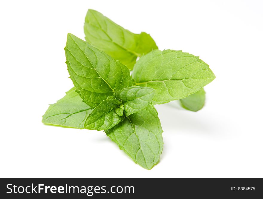 Fresh green mint leaves isolated on white. Fresh green mint leaves isolated on white