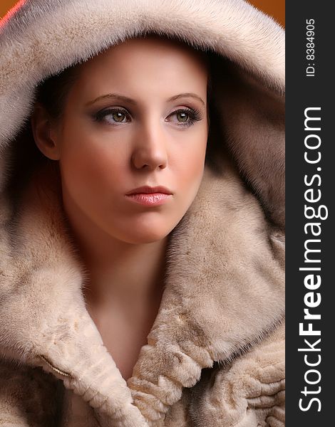 Portrait of attractive woman wearing natural fur. Portrait of attractive woman wearing natural fur