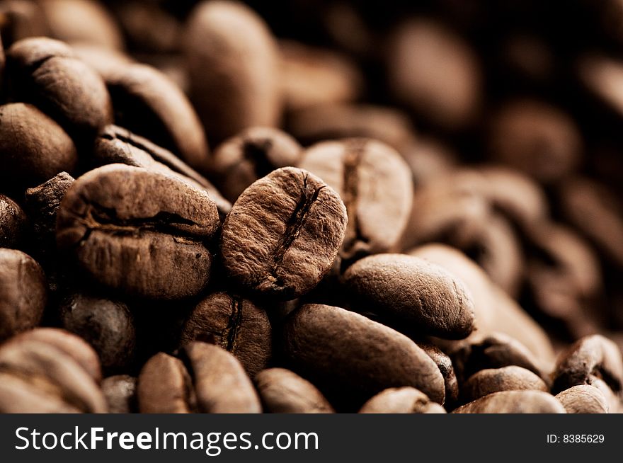 Close-up shot of coffee beans
