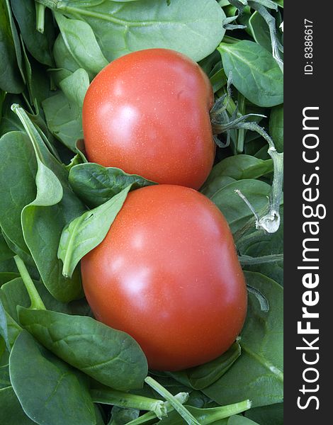 Basket filled with spinach leaves, with two tomatoes on top. Basket filled with spinach leaves, with two tomatoes on top
