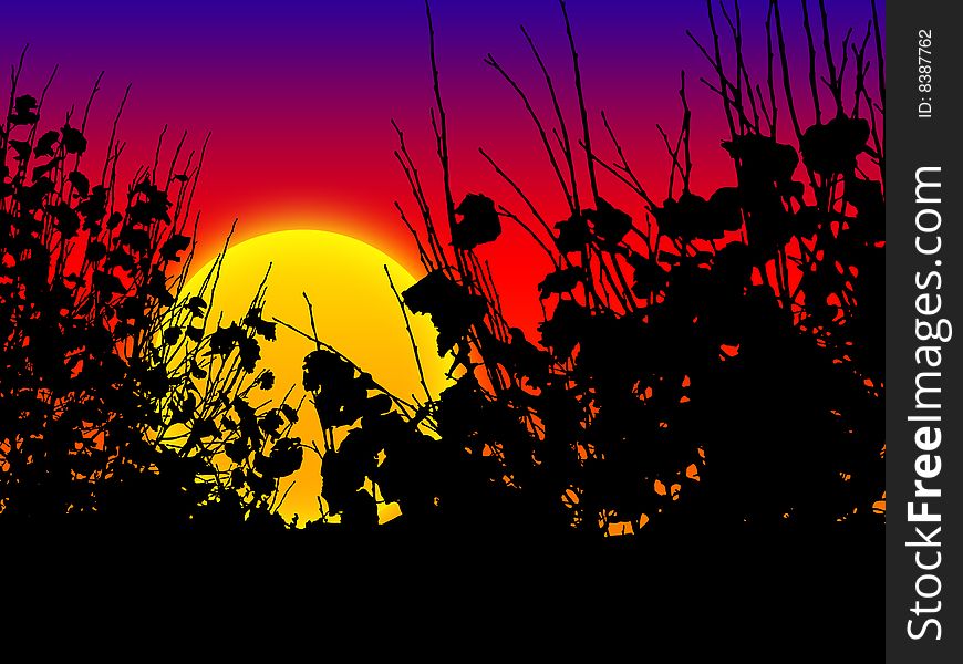 Sunrise/sunset illustration, leaves silhouette