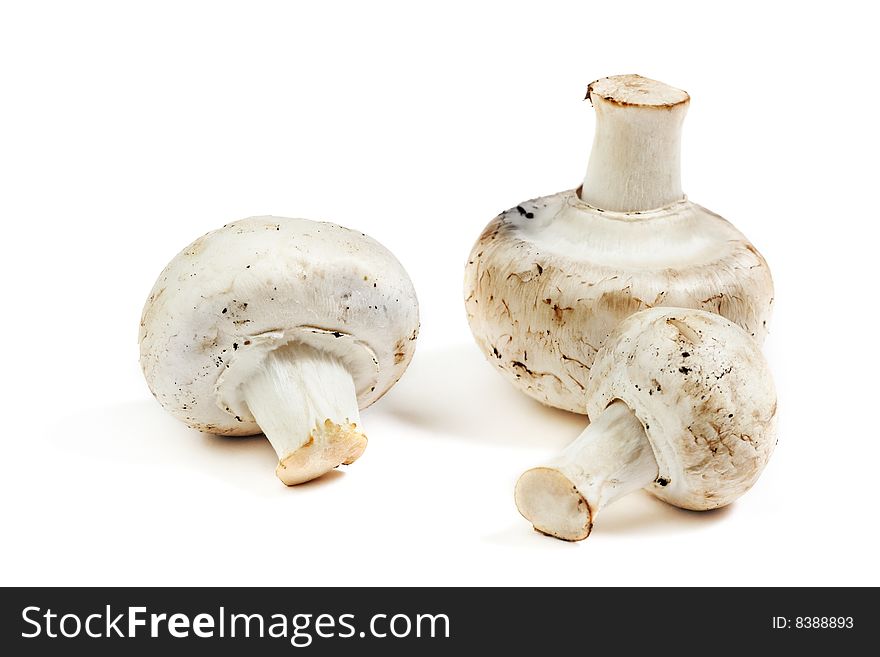 Group of three mushroom isolated on white background