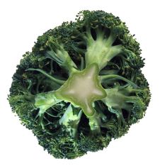 Broccoli Isolated On White Background Stock Photos Broccoli Isolated On White Background Stock Photos