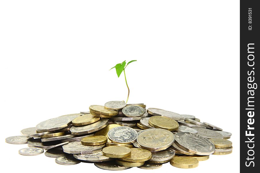 Lots of gold and silver coins piled around a little seedling. Its isolated over a pure white background. Lots of gold and silver coins piled around a little seedling. Its isolated over a pure white background.