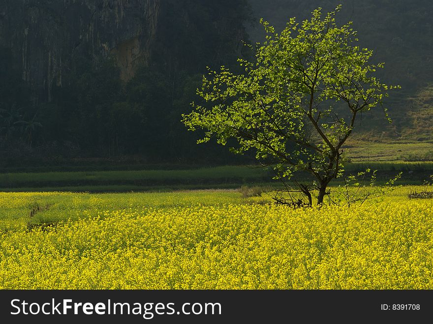 Lonely Tree And Yellow Flowers