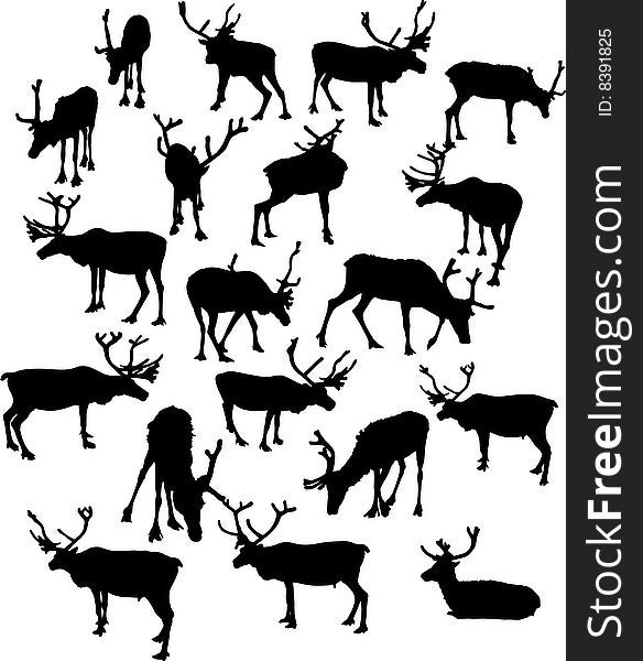 Illustration with deer silhouettes isolated on white background. Illustration with deer silhouettes isolated on white background