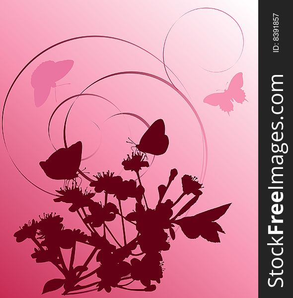 Illustration with cherry tree flowers and butterflies silhouette on white background. Illustration with cherry tree flowers and butterflies silhouette on white background