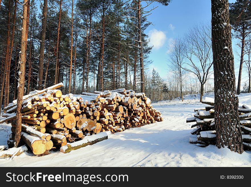 Stacked wood in Winter landscape