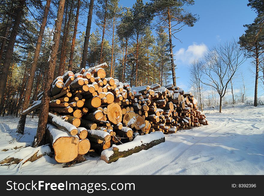 Stacked wood in Winter landscape