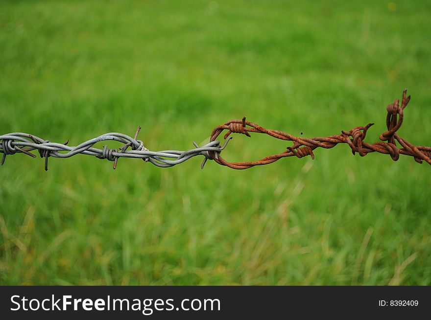 A barb wire fence at an alpine meadow. A barb wire fence at an alpine meadow.