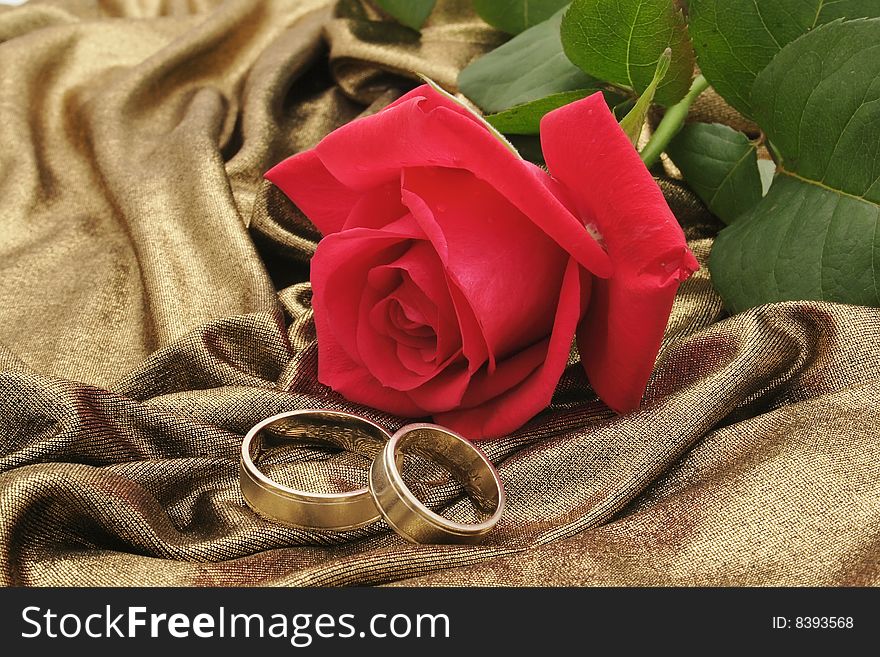 Rose and weeing rings on the gold background. Rose and weeing rings on the gold background