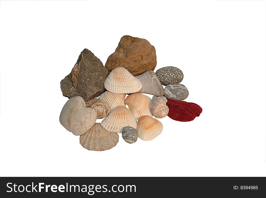 Stones And Shell