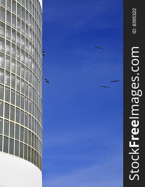 Glass building and birds in blue sky