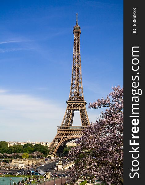 The Eiffel Tower. Spring Time